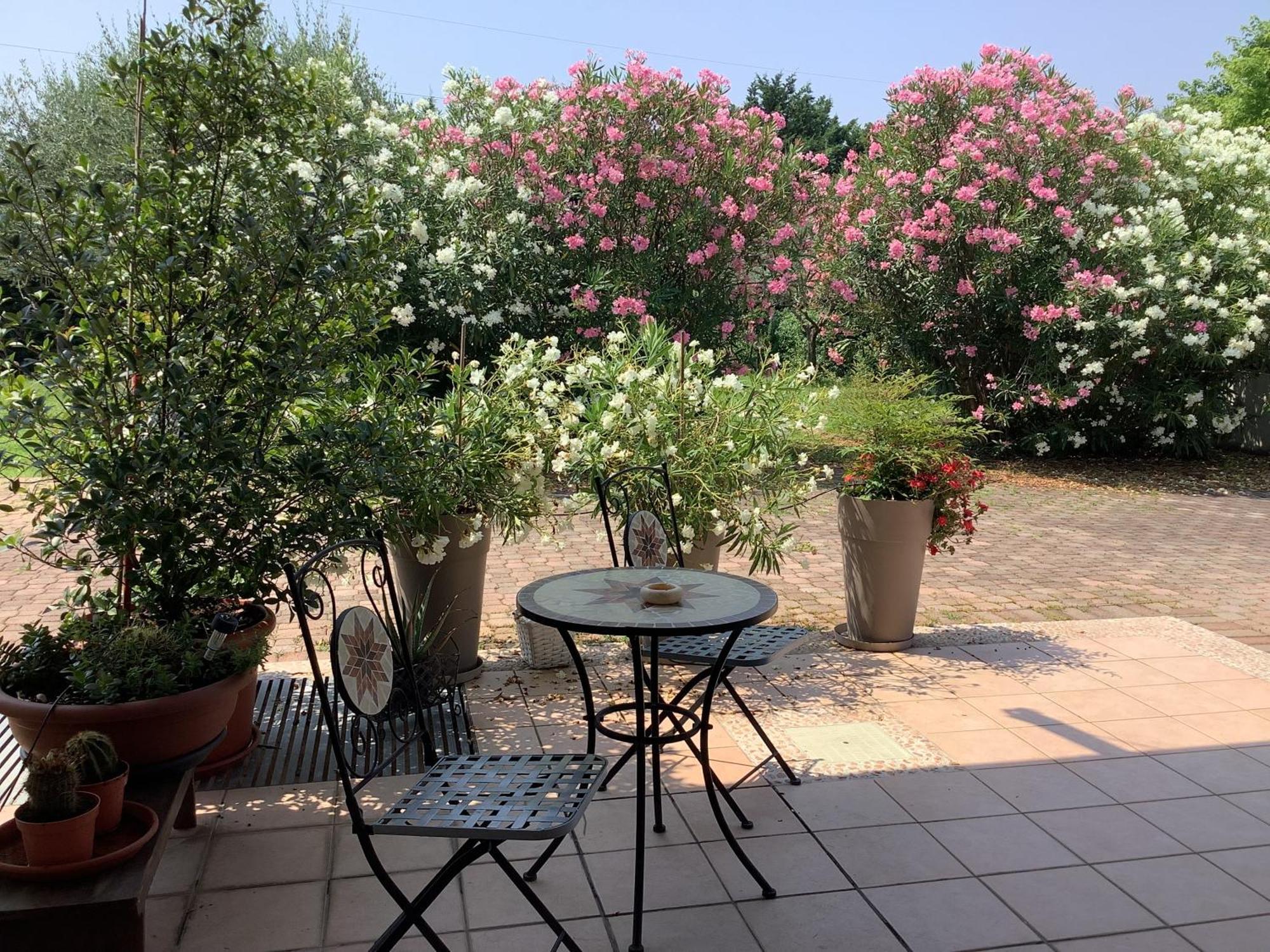 Edyshome Πεσκιέρα ντελ Γκάρντα Εξωτερικό φωτογραφία
